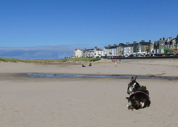 Bae Abermaw Hotel